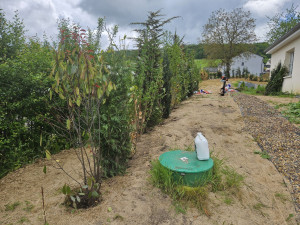 Photo de galerie - Pose divers arbres sur une 30ene de metres