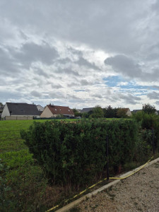 Photo de galerie - Paysagiste - Aménagement du jardin