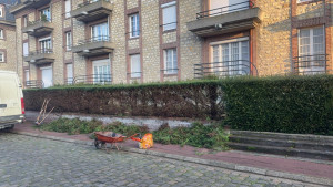 Photo de galerie - Taille de haie 