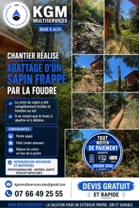 Photo de galerie - Elagage et coupe d'arbres