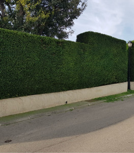 Photo de galerie - Jardinier