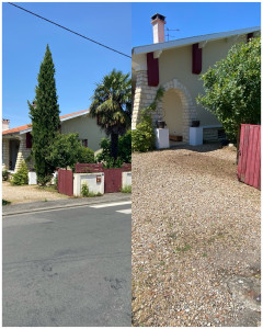 Photo de galerie - Abattage sur la commune de Poitiers 