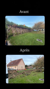 Photo de galerie - Enlèvement d’une haies en sapin 