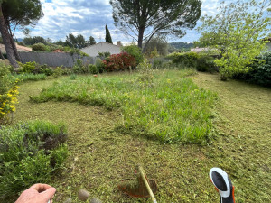 Photo de galerie - Réalisation de tonte de pelouse et débroussaillage 