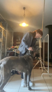 Photo de galerie - Garde de Maestro