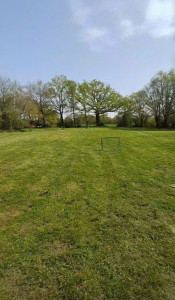 Photo de galerie - Tonte de pelouse
