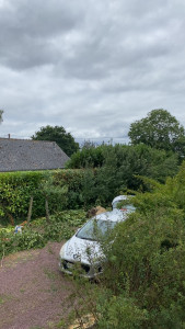 Photo de galerie - Rabattage de plus de 1m sur une haie de 50m avec évacuation des déchets verts 