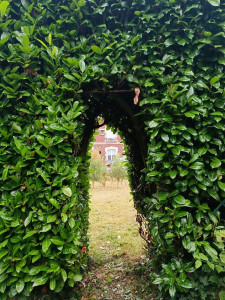 Photo de galerie - Paysagiste - Aménagement du jardin