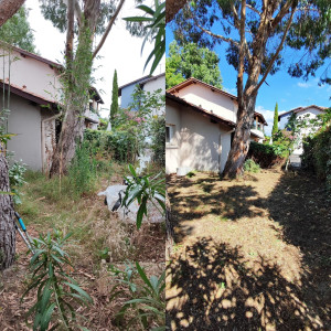 Photo de galerie - Remise en état d'un jardin côté Nord laisse a l'abandon depuis plusieurs mois.