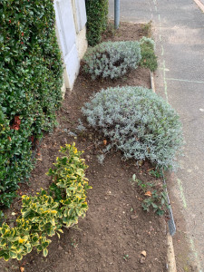 Photo de galerie - Désherbage et plantations 