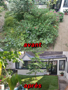 Photo de galerie - Enlèvement d'un espace fleurie et remplacement par de la pelouse en rouleau.