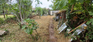 Photo de galerie - Tonte de pelouse - Débroussaillage
