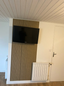 Photo de galerie - Suite à l’installation, télé et la tapisserie, décoratif