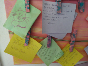 Photo de galerie - Des formations réussies