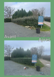 Photo de galerie - Taille d’éléagnus en zone communale