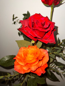 Photo de galerie - ?