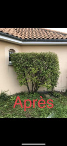Photo de galerie - Bonjour je vous propose mes service, taille haies
tond pelouse
élagage
débroussailleur 
 traitement de toiture
petit créations .
Tout travaux extérieurs 
