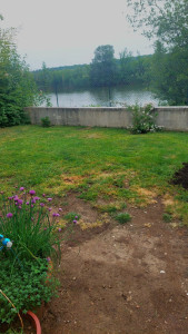 Photo de galerie - Tonte de pelouse - Débroussaillage