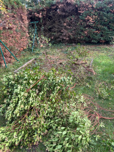 Photo de galerie - Après 