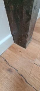Photo de galerie - Pose de parquet - Revêtement de sol