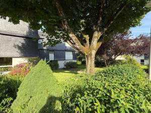 Photo de galerie - Entretien d'une copropriété..
Tonte, débroussaillage,taille d'arbustes 