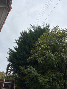 Photo de galerie - Avant 