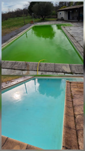 Photo de galerie - Entretien piscine