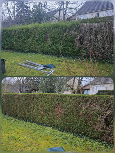 Photo de galerie - Reste 50 m haie 