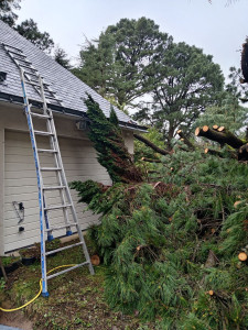 Photo de galerie - Remplacement ardoise après dégâts d'un arbre tombé sur un toit