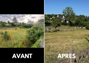 Photo de galerie - Débroussaillage d'une parcelle