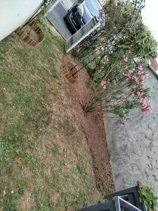 Photo de galerie - Désherbage et bordure de massif 