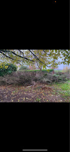 Photo de galerie - Débarras genreral