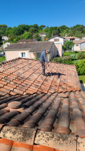 Photo de galerie - Traitement anti-mousse