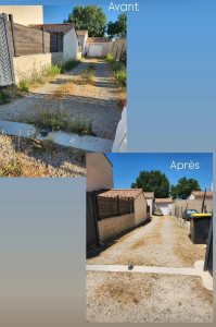 Photo de galerie - Tonte de pelouse - Débroussaillage