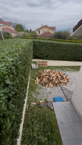 Photo de galerie - Taille de haies et d'arbustes