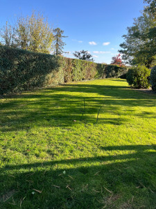 Photo de galerie - Taille de haie