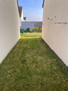 Photo de galerie - Tonte pelouse + débroussaillage 