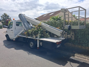 Photo de galerie - Gino