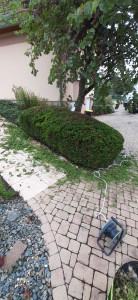 Photo de galerie - Taille .