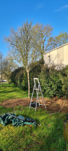 Photo de galerie - Avant