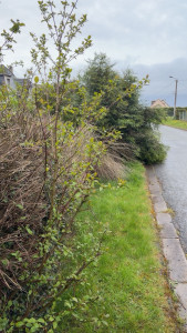 Photo de galerie - Avant 