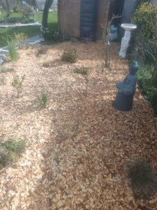 Photo de galerie - Massif