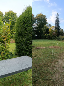 Photo de galerie - Nettoyage avec enlèvement d'un terrain.