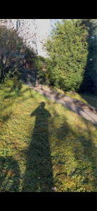 Photo de galerie - Débroussaillage + tonte d’une pelouse 