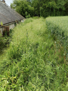 Photo de galerie - Avent 