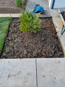 Photo de galerie - Paysagiste - Aménagement du jardin