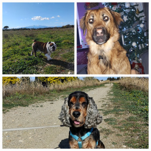 Photo de galerie - Garde de Popeye, Inka et Yvan