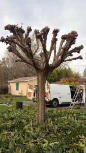 Photo de galerie - Après 