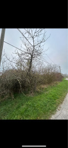 Photo de galerie - Paysagiste - Aménagement du jardin