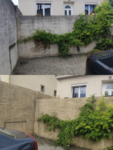 Photo de galerie - La suite de mur de 15 ans sans être nettoyé 